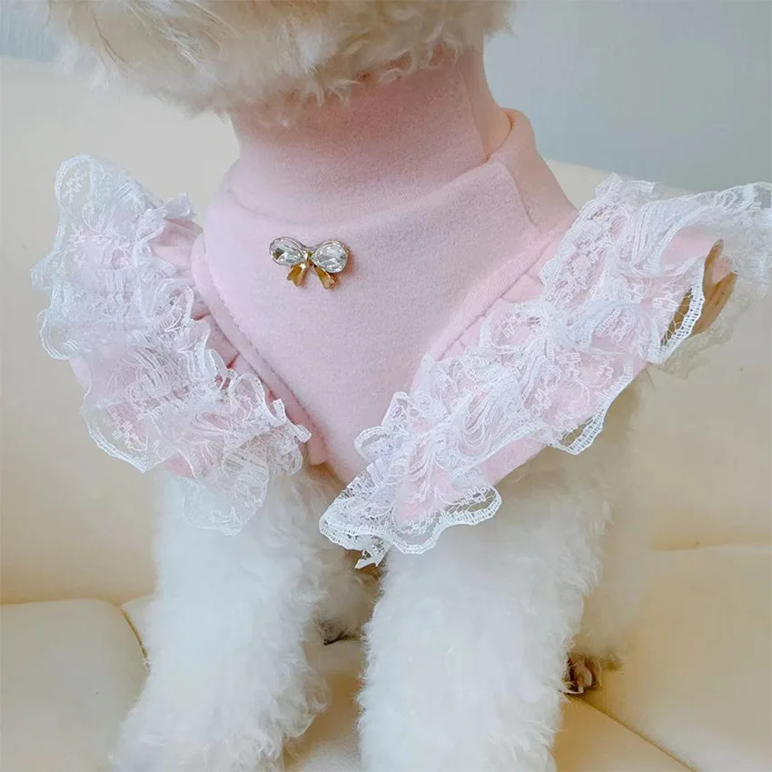 Lace Teddy Lingerie - 애완 동물 의류 가을, 겨울 기본