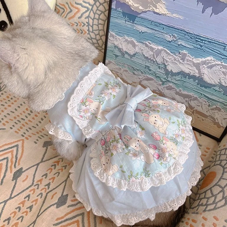 Lace Teddy Lingerie - 귀여운 레이스 꽃 앞치마 드레스, 핑크